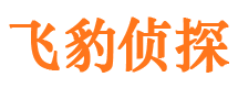 南召市调查公司